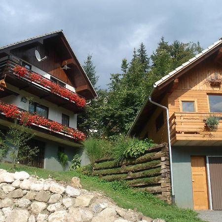 Apartma Podlogar Golica Triglav Apartment เยเซนิตเซ ภายนอก รูปภาพ